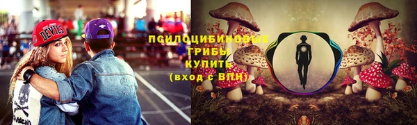 стаф Каменногорск